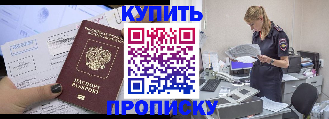 временная регистрация поиск в Курске